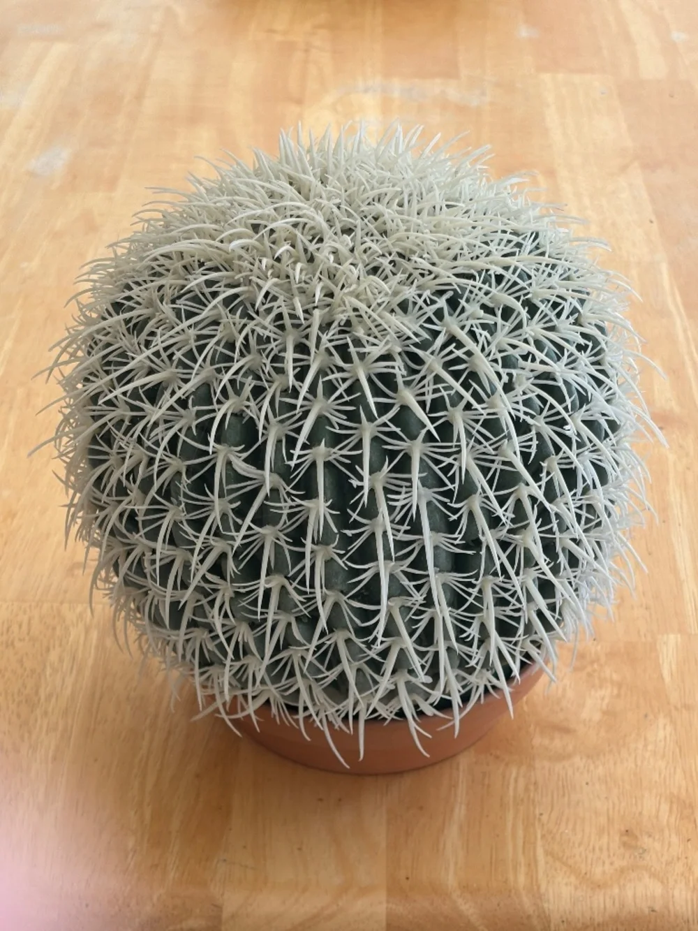 Faux Cactus